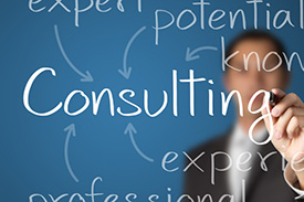 Consulting Services